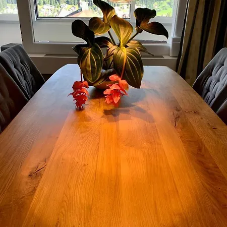 Wef Platz Centre 3,5 With Garage 公寓